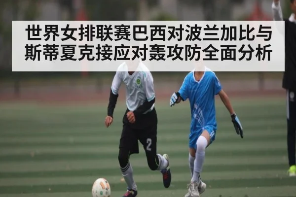 世界女排联赛巴西对波兰加比与斯蒂夏克接应对轰攻防全面分析